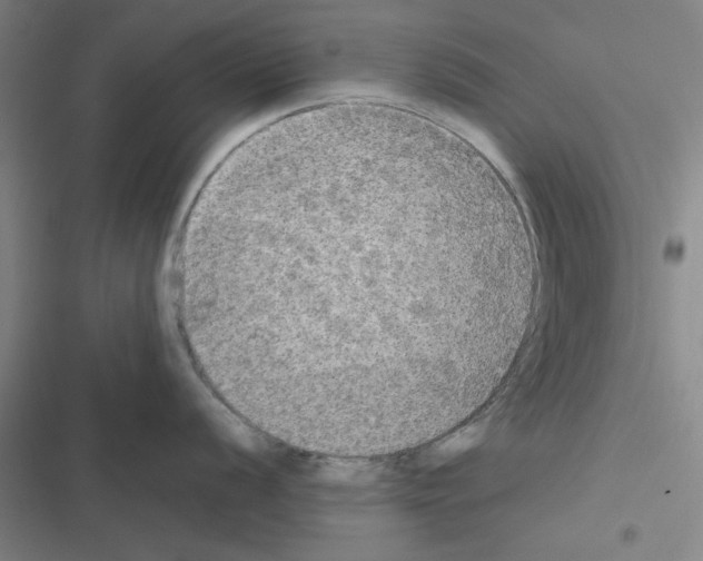 X0000116581056201001211300