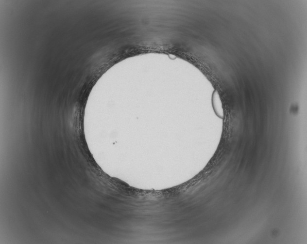 X0000116581058201001211300