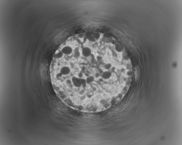 X0000116581059201001211300