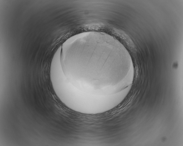 X0000116581060201001211300