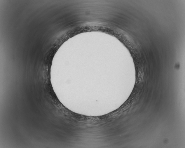 X0000116581062201001211300