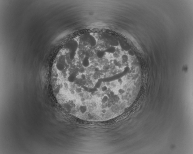 X0000116581063201001211300