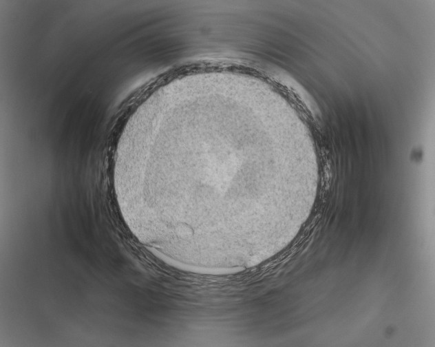 X0000116581064201001211300