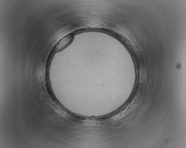 X0000116581065201001211300