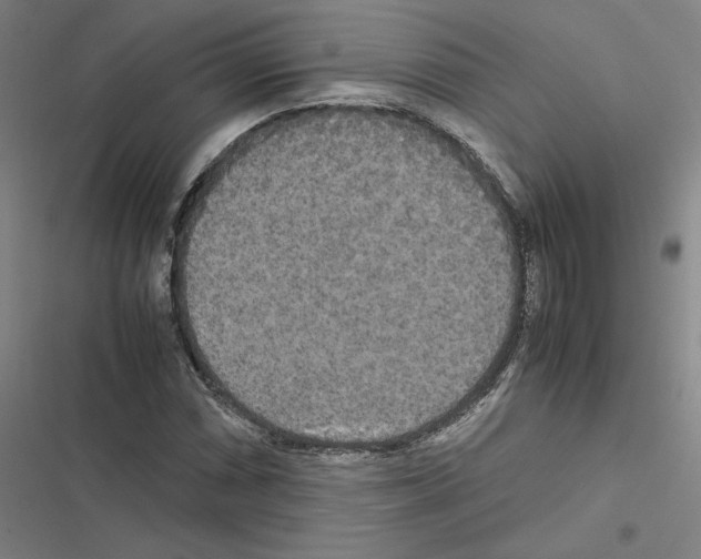 X0000116581066201001211300