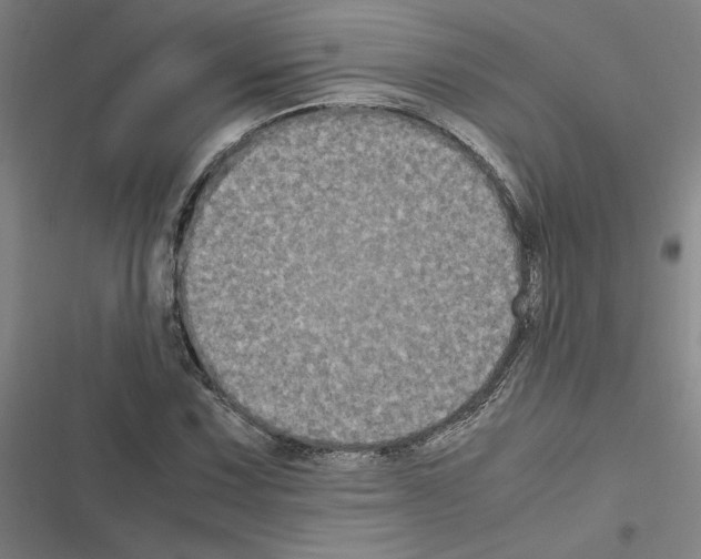 X0000116581067201001211300
