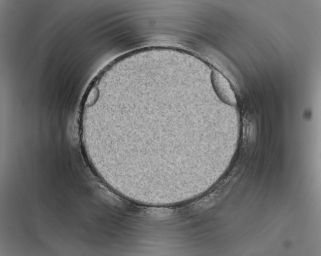 X0000116581068201001211300