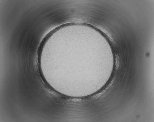 X0000116581070201001211300