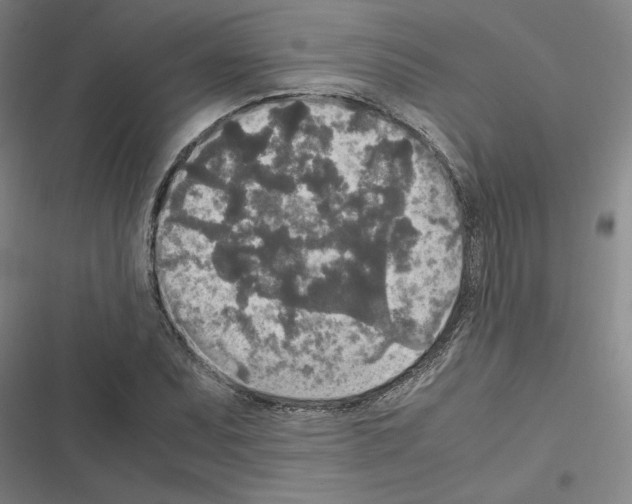 X0000116581071201001211300