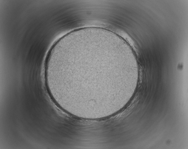 X0000116581072201001211300