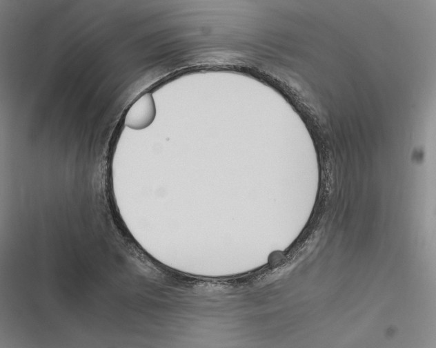 X0000116581073201001211300