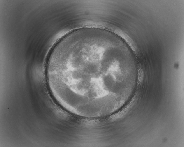 X0000116581074201001211300