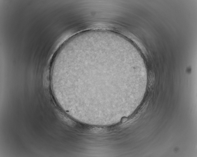 X0000116581075201001211300