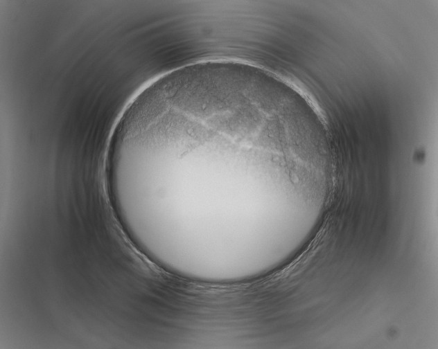 X0000116581076201001211300
