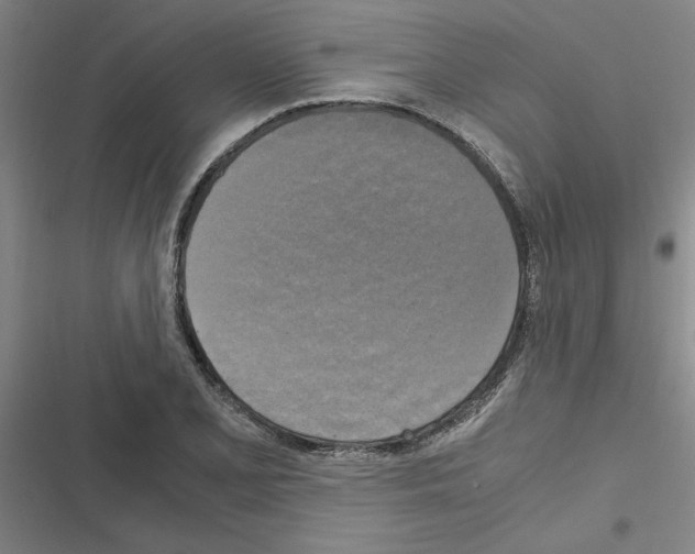 X0000116581077201001211300