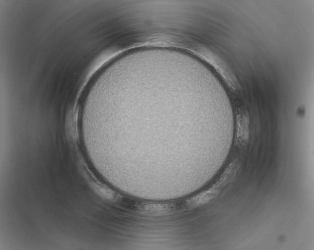 X0000116581078201001211300