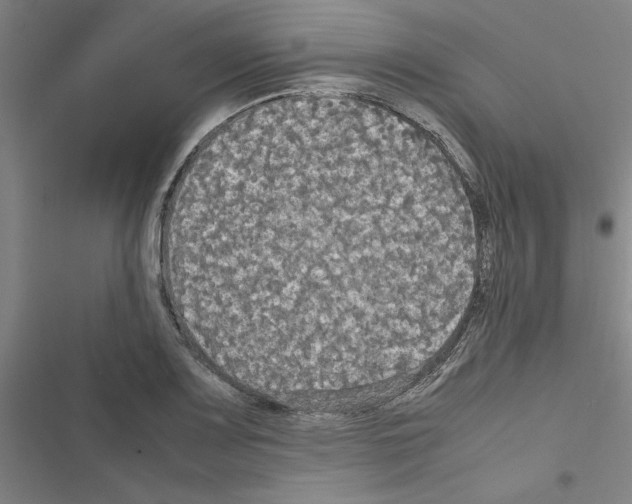 X0000116581083201001211259