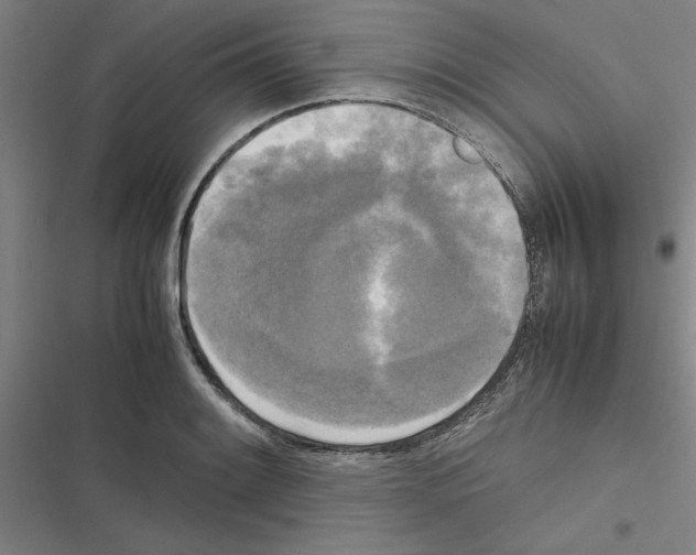 X0000116581084201001211259