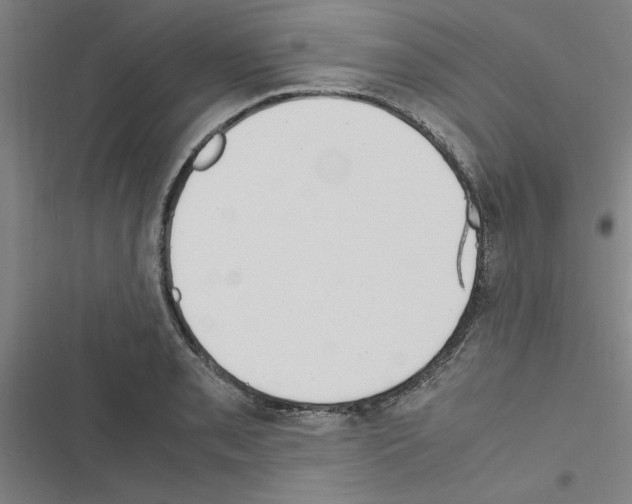 X0000116581085201001211259