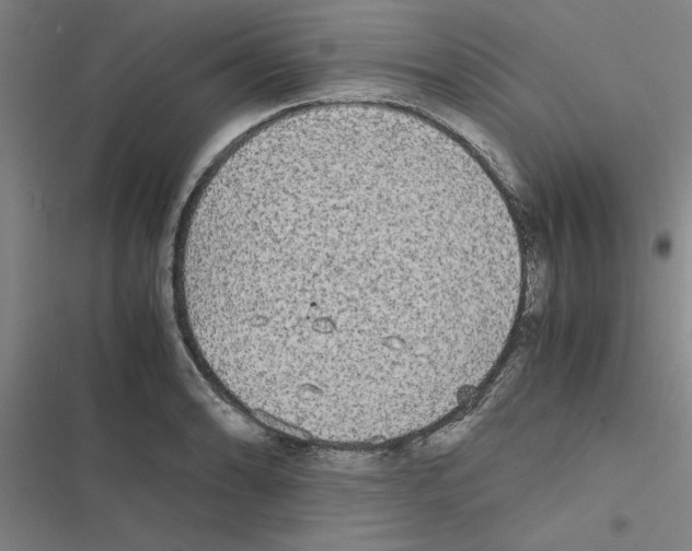 X0000116581086201001211259