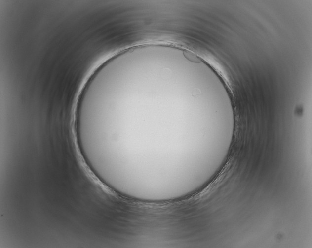 X0000116581088201001211259
