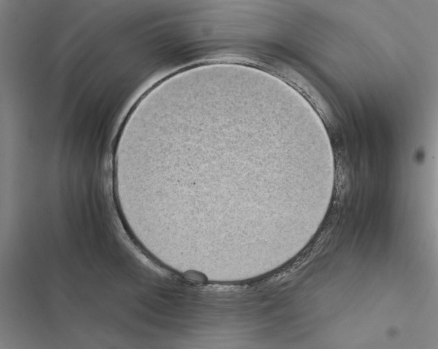 X0000116581092201001211259