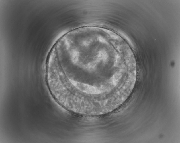 X0000116581095201001211259