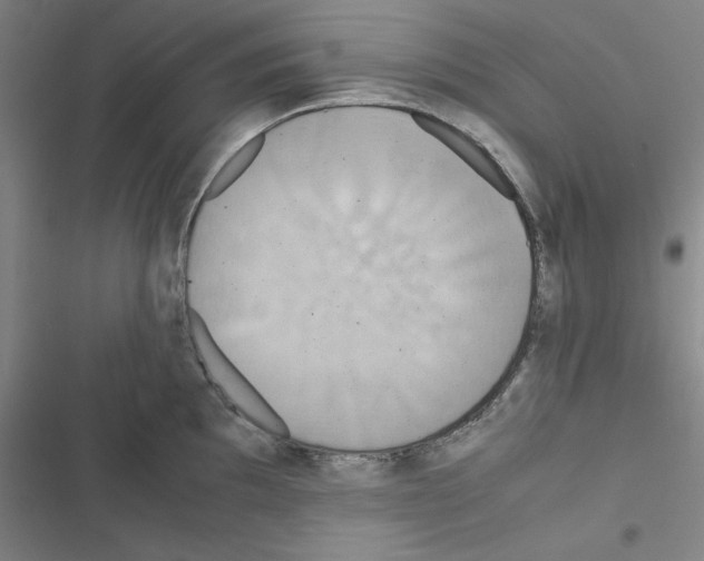 X0000116581097201001211259