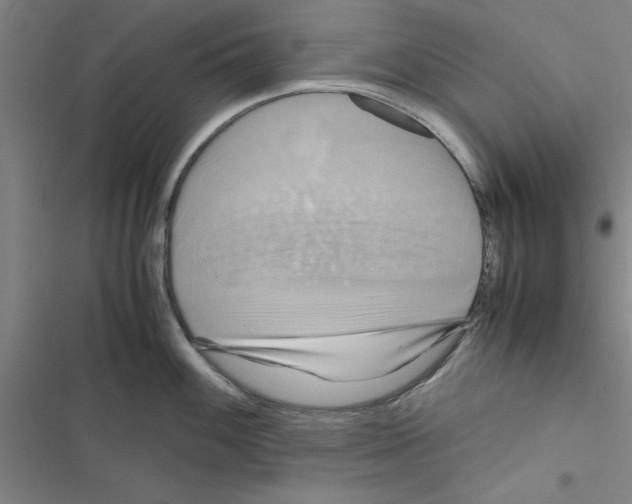 X0000116581100201001211259
