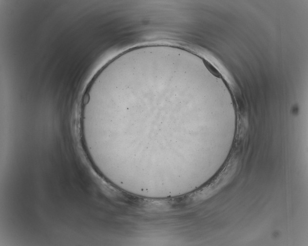 X0000116581101201001211259