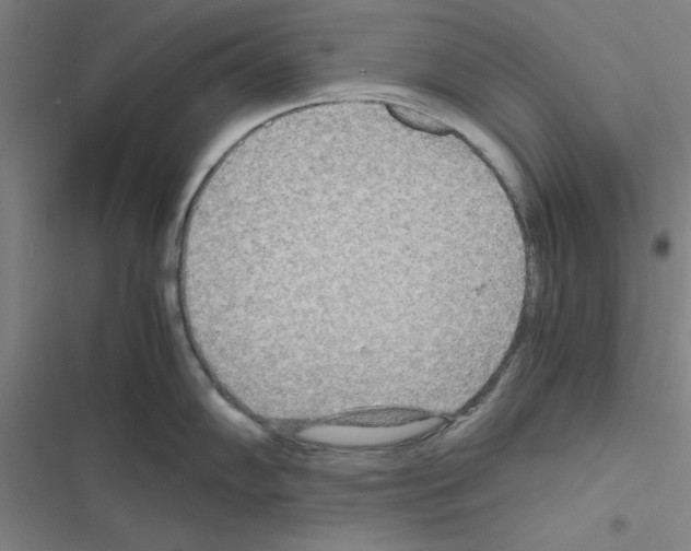 X0000116581102201001211259