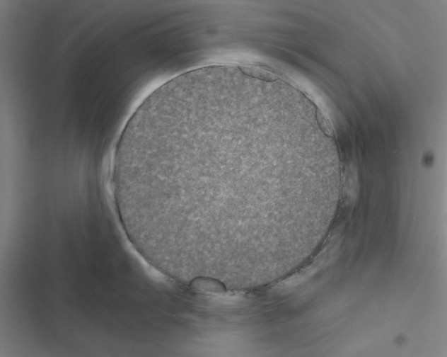 X0000116581103201001211259