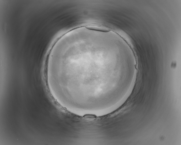 X0000116581104201001211259