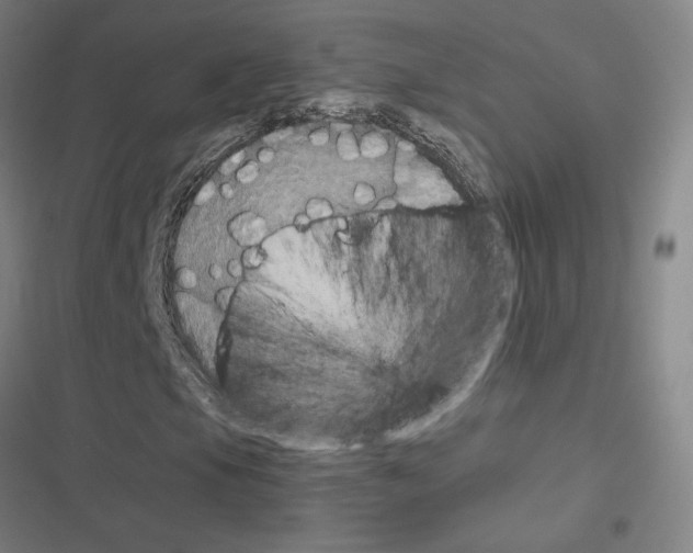 X0000116581105201001211259