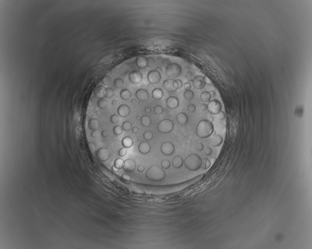 X0000116581106201001211259