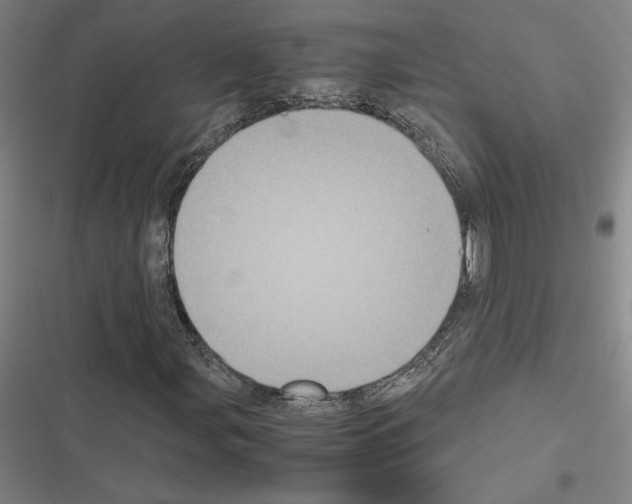 X0000116581107201001211259
