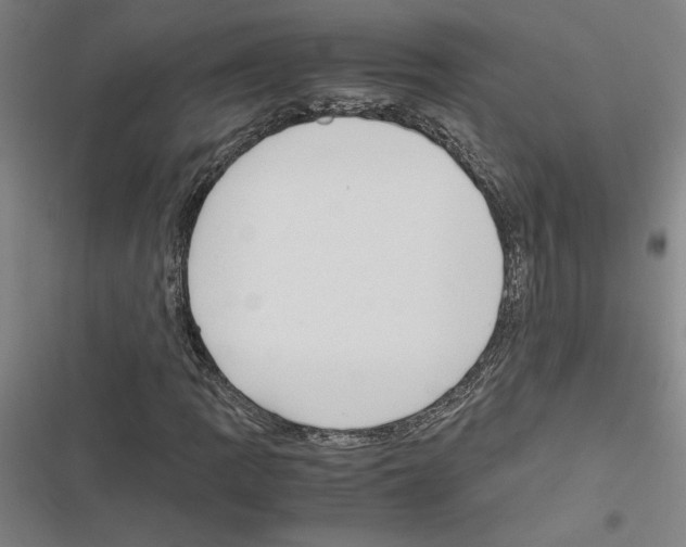 X0000116581109201001211259