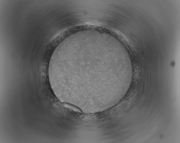 X0000116581110201001211259