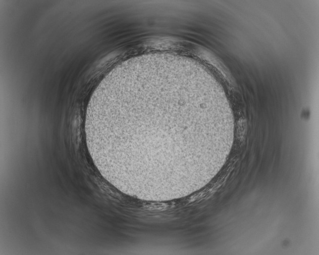 X0000116581111201001211259