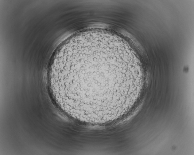 X0000116581113201001211259