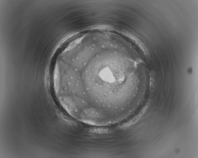 X0000116581117201001211259
