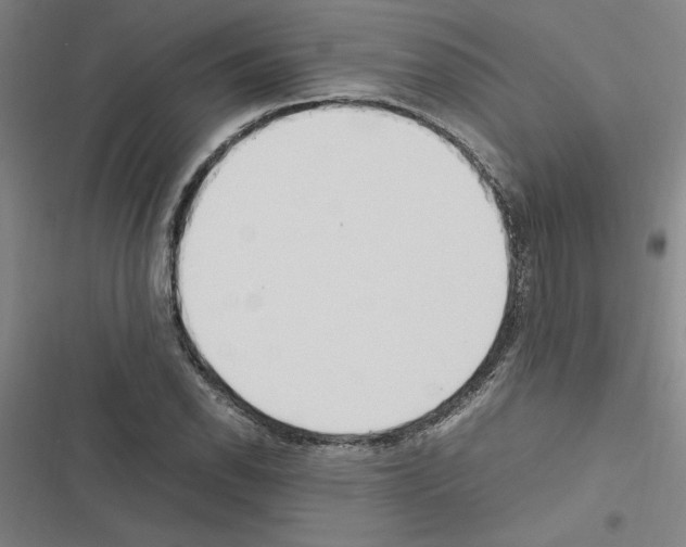 X0000116581118201001211259