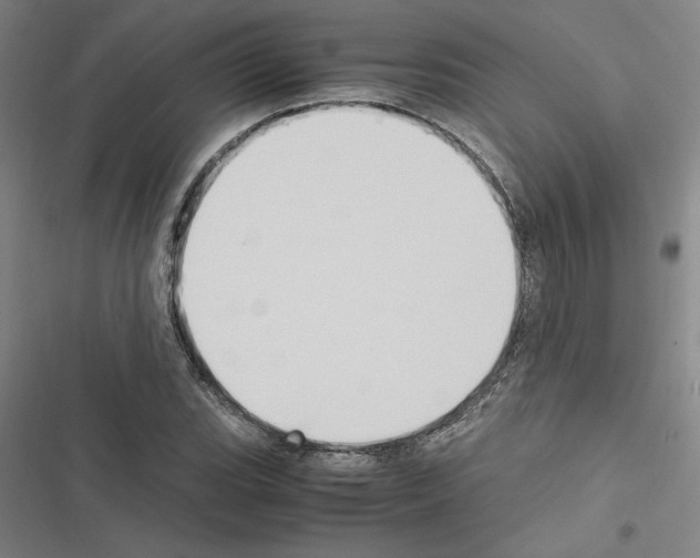X0000116581119201001211259