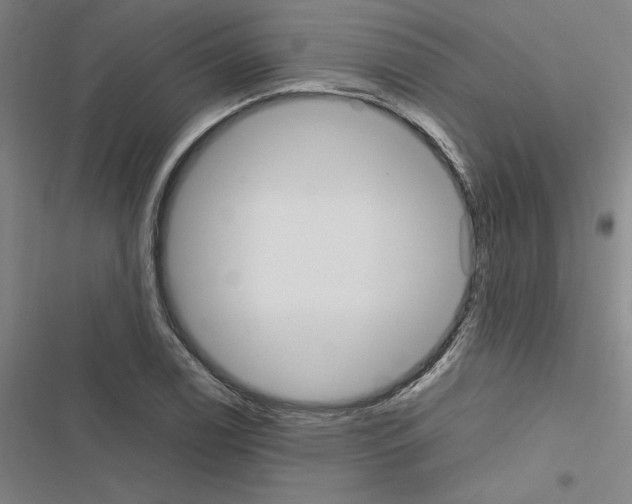 X0000116581122201001211259