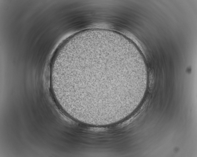 X0000116581123201001211259
