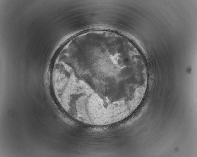 X0000116581125201001211259