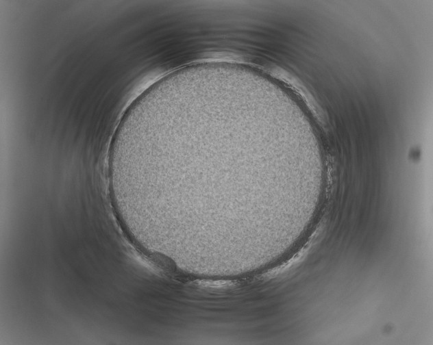 X0000116581129201001211259