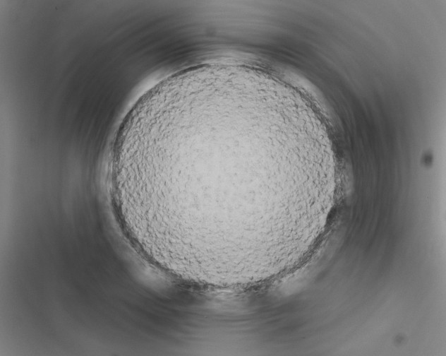X0000116581130201001211259