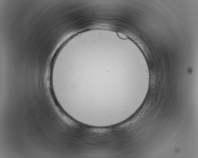 X0000116581131201001211259
