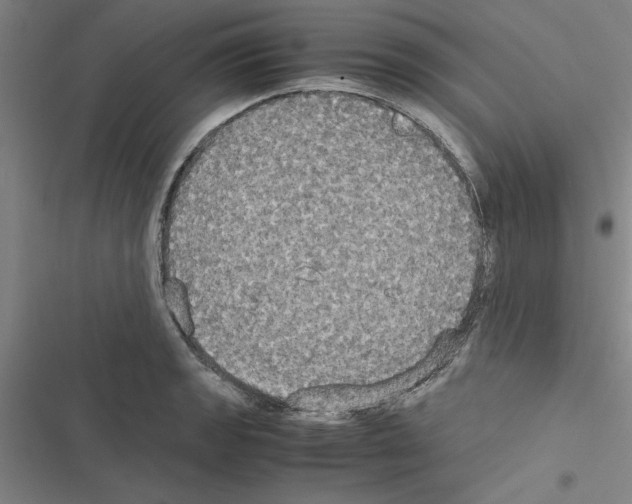 X0000116581133201001211259